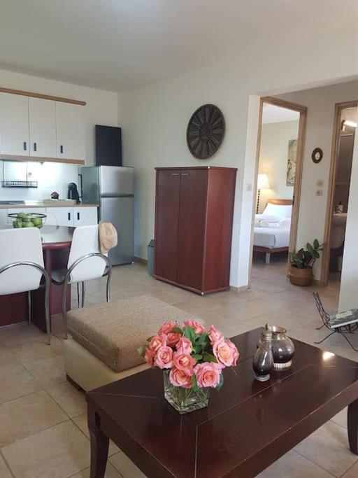 Amalthia Villa Sitia  Buitenkant foto