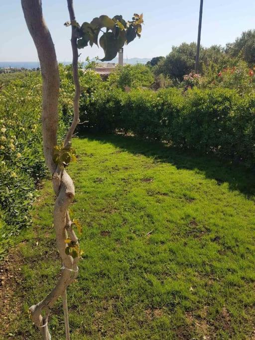 Amalthia Villa Sitia  Buitenkant foto